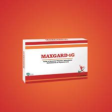 MAXGARD 4G 10S